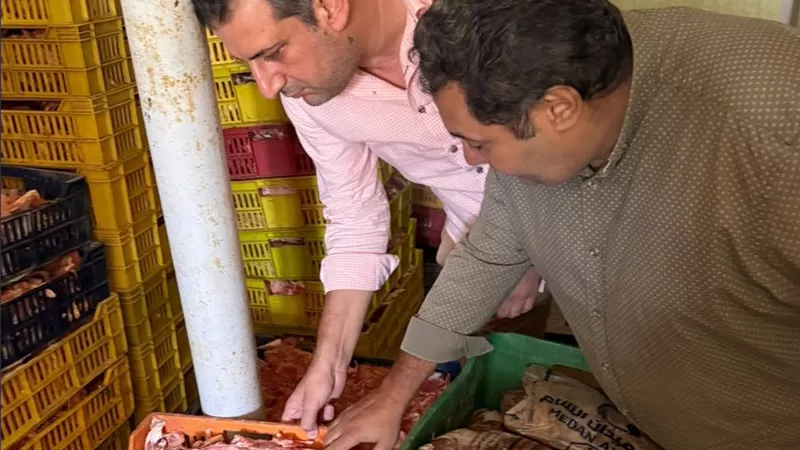 بيطري الغربية.. ضبط 4 أطنان دواجن فاسدة و18 ألف عبوة مقرمشات بمصنع غير مرخص