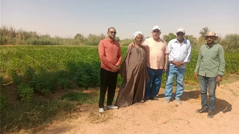 قيادات زراعة الوادي الجديد تتابع الحقول الإرشادية لمحاصيل الذرة واللوبيا والدخن بالخارجة