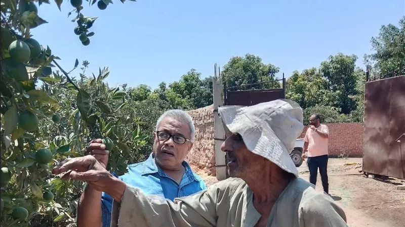 زراعة الإسماعيلية تواصل المرور الميداني على الزراعات ومحلات المبيدات بالتل الكبير