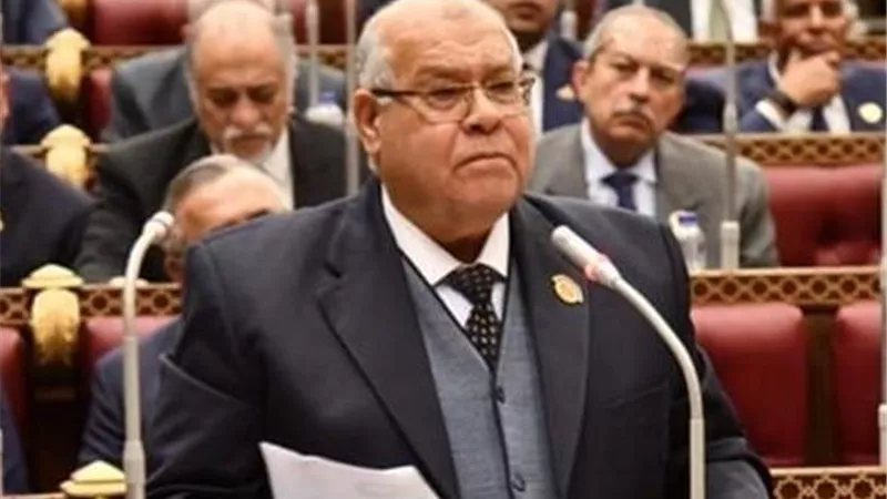 برلماني: توطين الصناعات الثقيلة يعزز الصادرات ويفتح آفاقًا جديدة لتوفير فرص عمل للشباب
