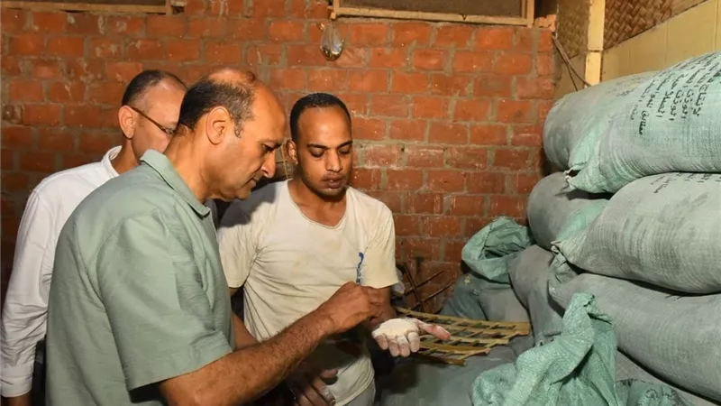 محافظ أسيوط يتفقد المخابز ويتابع جودة الخبز وتشديد الرقابة على الدقيق المدعم