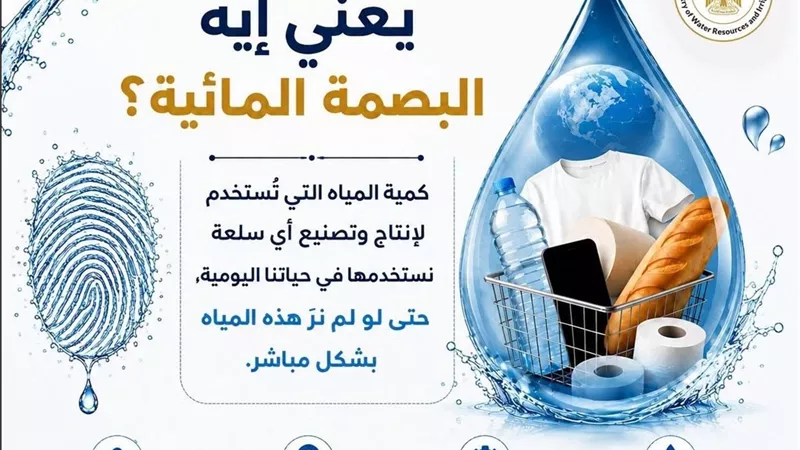 من الطماطم إلى اللابتوب.. 