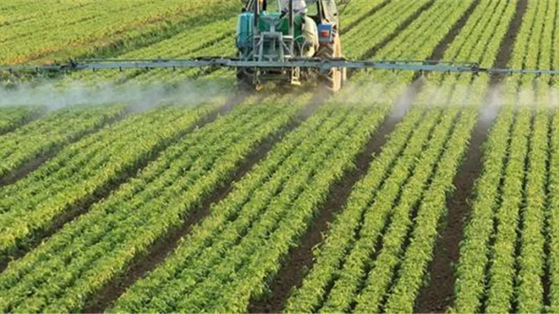 مشروعات الزراعة العملاقة بتوجيهات الرئيس السيسي تعزز الأمن الغذائي وتدعم الاقتصاد الوطني
