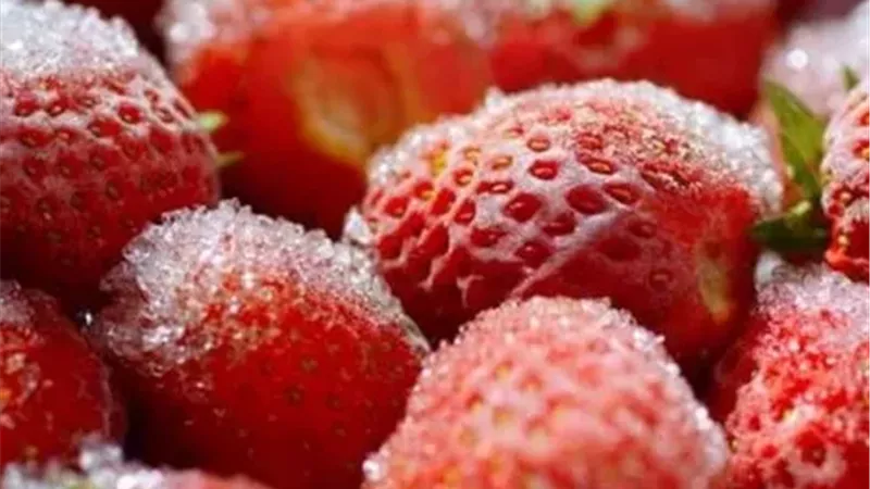 صادرات الصناعات الغذائية المصرية إلى روسيا ترتفع لـ97 مليون دولار.. والفراولة المجمدة تتصدر