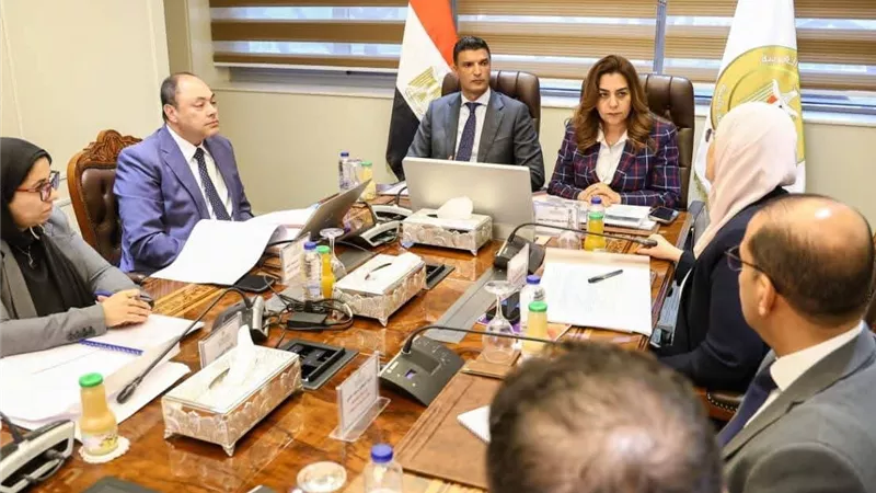 وزراء التنمية المحلية والصناعة يناقشون دعم مشروعات هيئة تنمية الصعيد وتعزيز التصدير