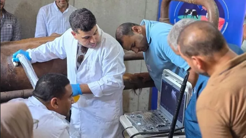 بيطري أسيوط  يدرب 40 طبيبًا على الموجات فوق الصوتية لتعزيز دقة التشخيص وتحسين خدمات الثروة الحيوانية
