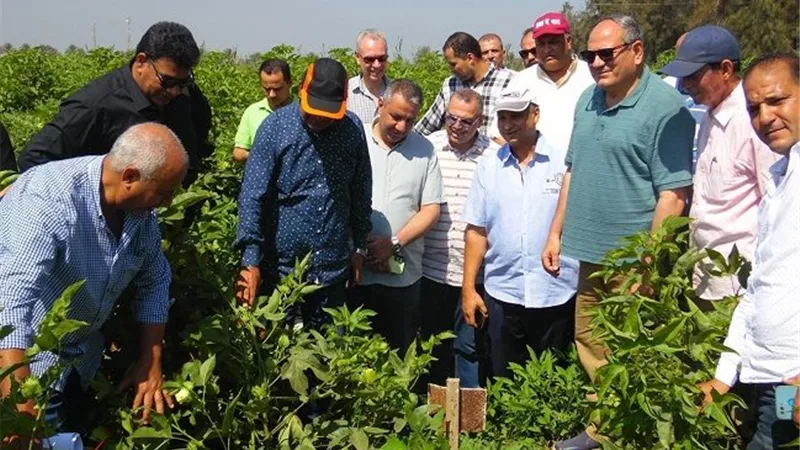 رئيس مركز البحوث الزراعية يتفقد محطة الجميزة لمتابعة البرامج البحثية وإنتاج التقاوي