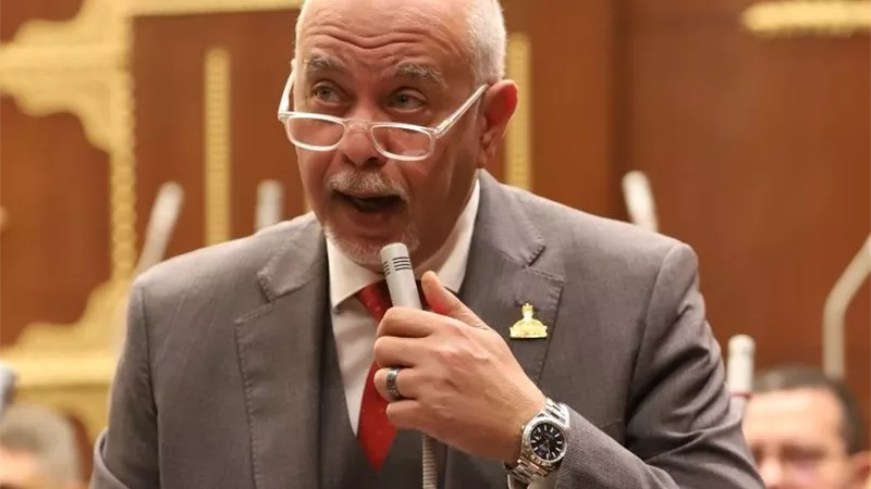 حازم الجندي: شراكة مصر مع «البريكس» فرصة استراتيجية لجذب الاستثمارات وتوطين الصناعة وزيادة الصادرات