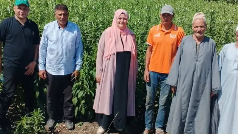 ندوة إرشادية عن محصول السمسم بمركز دمنهور - البحيرة 