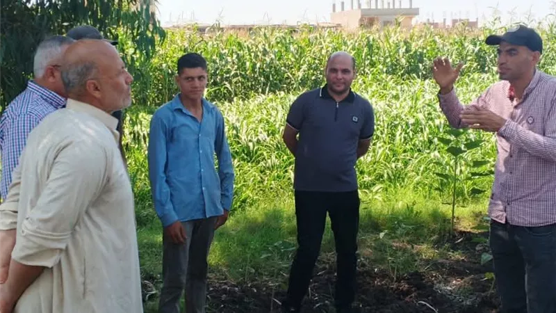 ندوات إرشادية بمركز قلين حول دوار الشمس والتكثيف الثلاثي
