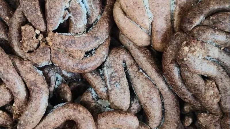 «بيطري القليوبية» يضبط 7 أطنان مصنعات لحوم غير صالحة للاستهلاك الآدمي في العبور