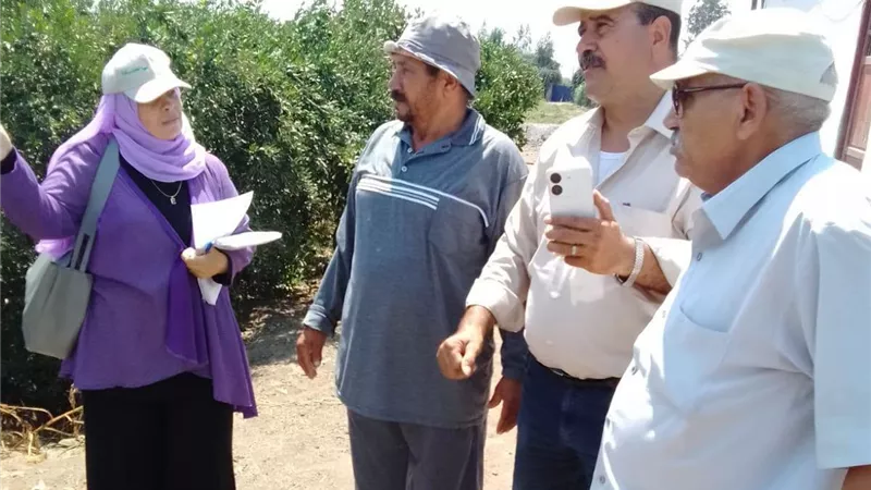 زراعة كفر الشيخ تواصل جهودها لحماية المحاصيل الاستراتيجية ومكافحة الآفات