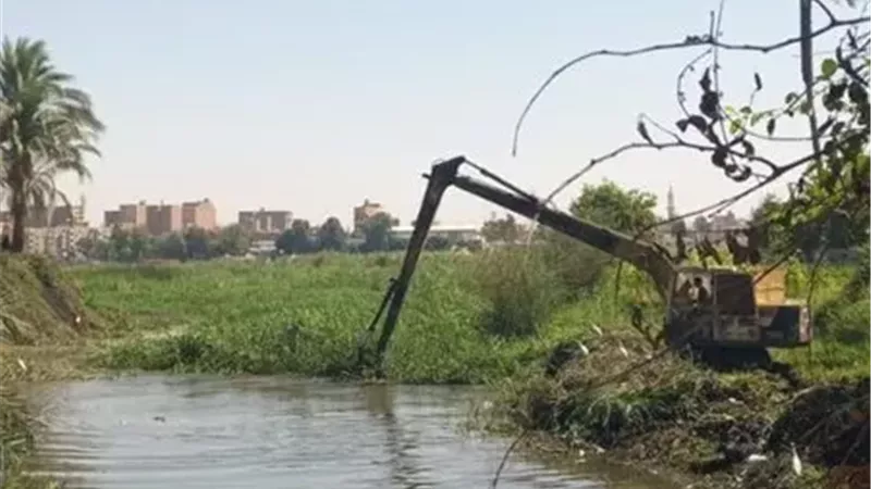 بعد الجدل.. قنا تكشف حقيقة تأثير الحشائش على مياه الشرب