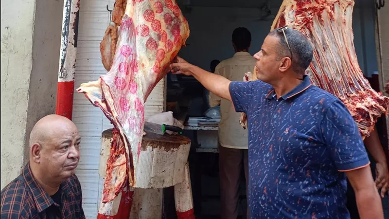 «اللحمة كلها ختم مضروب».. «البيطرية» تكشف مفاجأة صادمة بعد فيديو جزار الجيزة