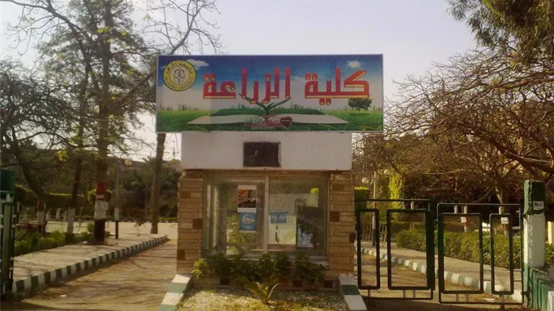 كليات الزراعة في مصر.. تخصصات جديدة تواكب التحول نحو الزراعة الذكية