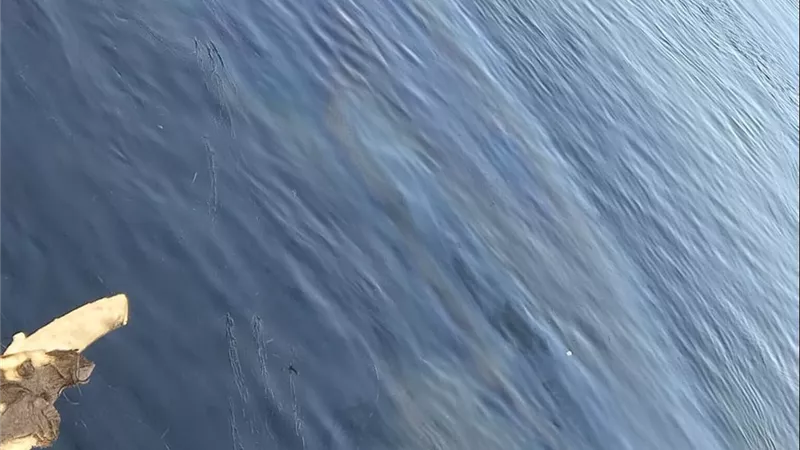 ظهور بقعت زيت بمياه بنهر النيل بمدينة الأقصر 