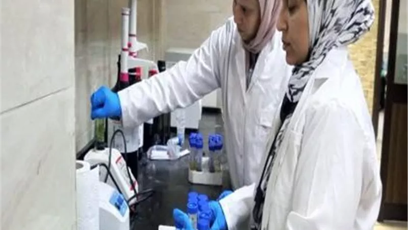 الزراعة