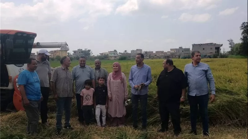 حصاد الخير والنماء.. انطلاق موسم حصاد الأرز بدمياط وسط دعم تنفيذي وإرشادي للمزارعين
