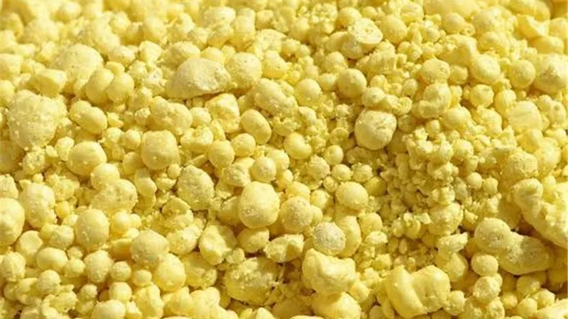 قبل زراعة العروة الشتوية.. الكبريت الزراعي سلاح الفلاح لتحسين التربة وزيادة كفاءة التسميد
