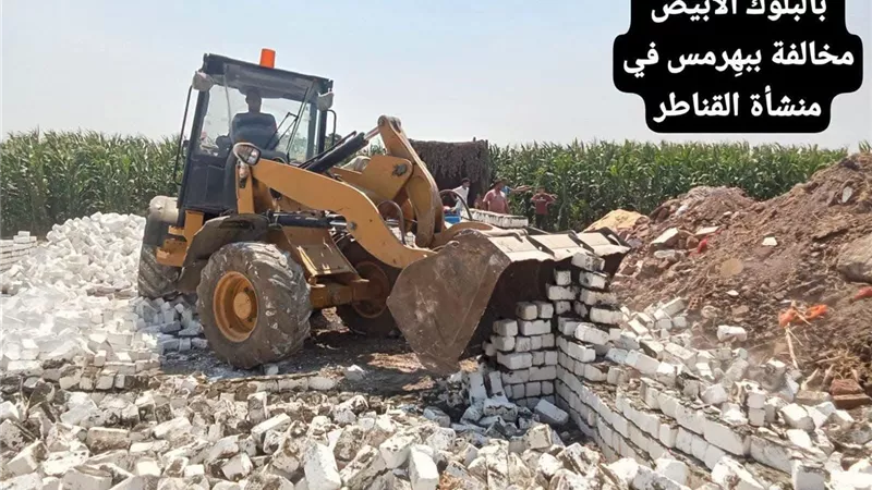 «زراعة الجيزة» تواصل تكثيف المتابعة الميدانية.. إزالة 16 حالة تعدٍ ومتابعة صرف الأسمدة وحصاد الحقول الإرشادية