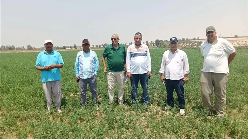 البحوث الزراعية.. جولة تفقدية لمزارع المانجو والزيتون ومعامل متبقيات المبيدات بالإسماعيلية