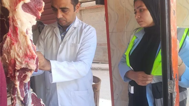 ضبط 42 كيلو لحوم وأحشاء غير صالحة للاستهلاك الآدمي خلال حملة تفتيشية بسوهاج