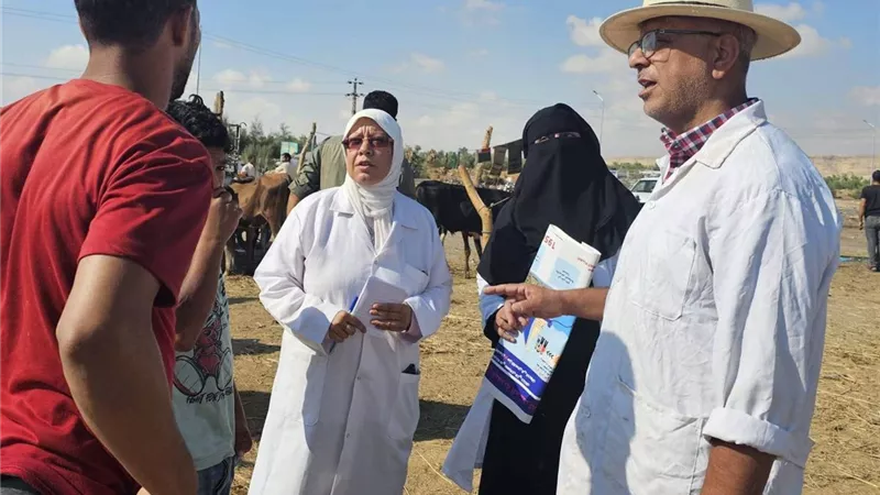 الطب البيطري بالسويس يتابع سوق الأربعاء بجنيفة ويكثف التوعية بالتحصينات