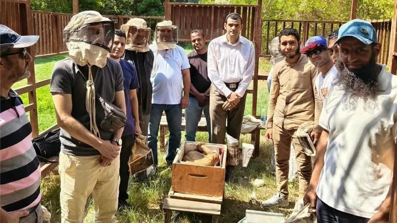 الزراعة تُنظم برنامجًا تدريبيًا لتطوير صناعة نحل العسل وإنتاج السم وتعظيم قيمته الاقتصادية
