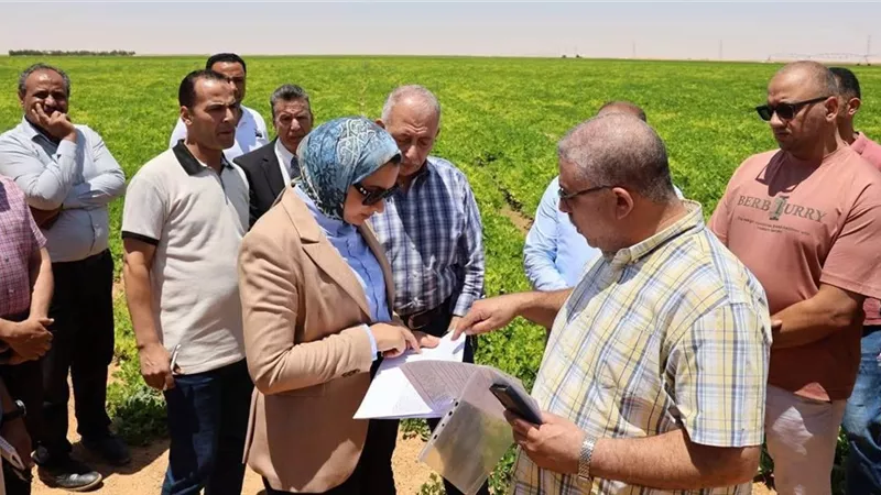بمساحة 5504 أفدنة.. تفاصيل جولة محافظ الوادي الجديد لدعم الاستثمار الزراعي بشرق العوينات