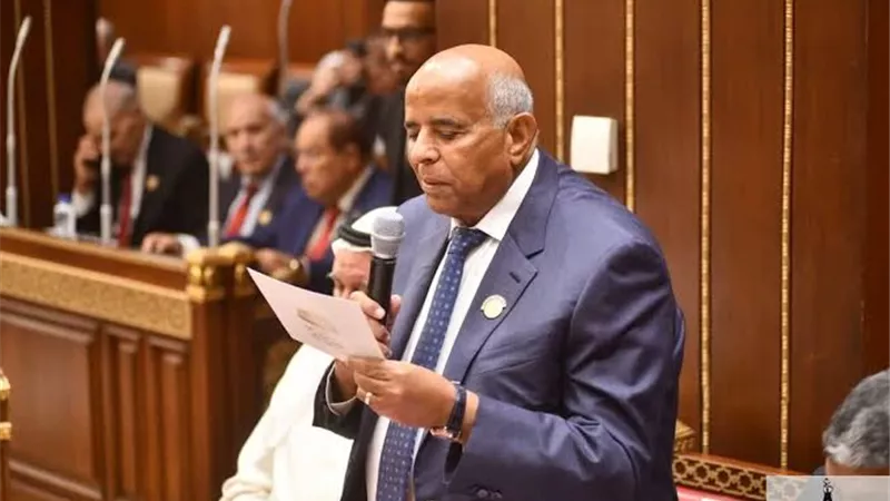 حلمي جاويش: «جوليوس نيريري» يعكس قدرة الشركات المصرية على تنفيذ المشروعات الكبرى 