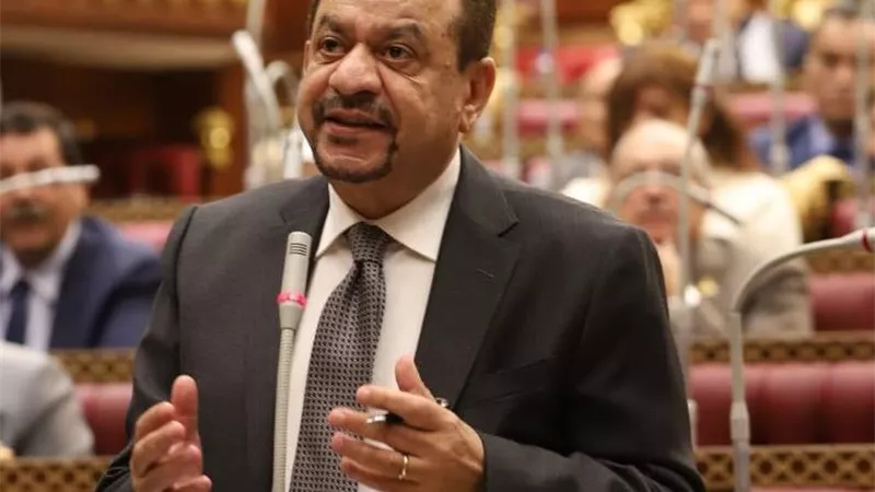برلماني: تدشين سد «جوليوس نيريري» خطوة محورية لتكامل سلاسل الإمداد والاستثمار في إفريقيا