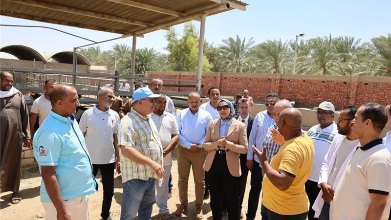 محافظ الوادي الجديد تشهد حصاد محصول البرحي بمزارع وزارة الزراعة بشرق العوينات