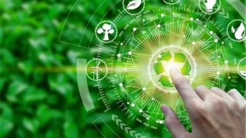 خبير بمركز البحوث الزراعية: الزراعة المستدامة مستقبل الأمن الغذائي والاقتصاد الأخضر في مصر