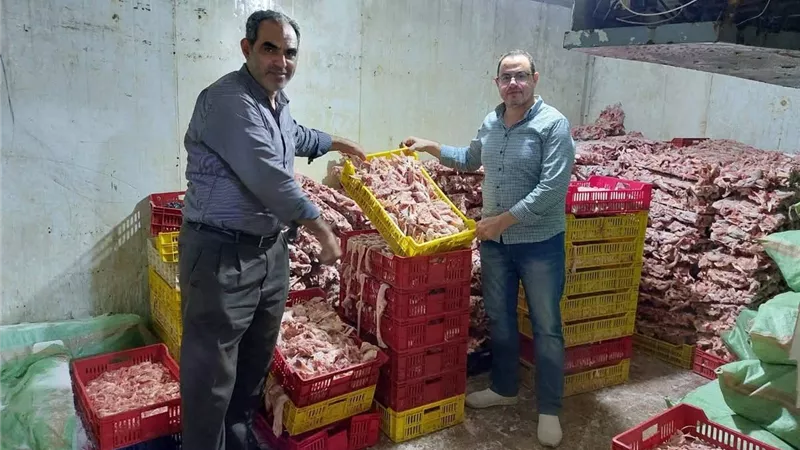تموين الجيزة يضبط 500 بطاقة تموينية و5 أطنان مخلفات دواجن فاسدة في حملات مكثفة