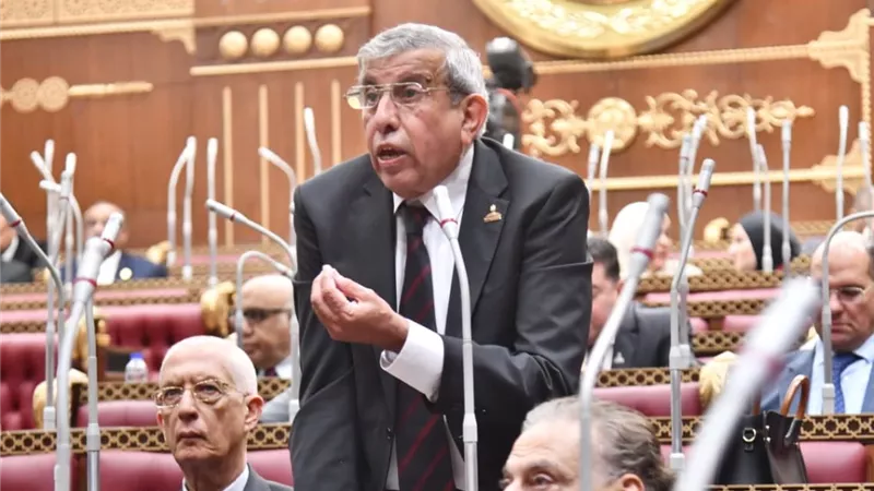 برلماني يطالب بضبط الأسواق وحماية المستهلك لتحقيق مستهدفات الأمن الغذائي