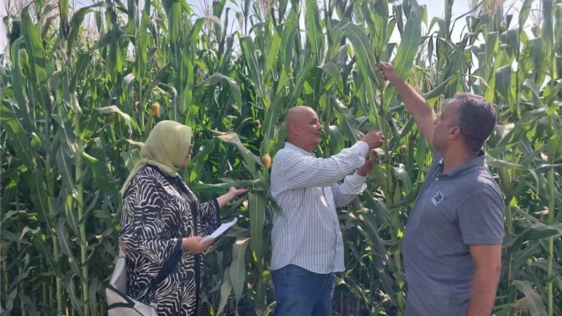 زراعة الغربية تواصل المتابعة الميدانية للخدمات الزراعية ومراجعة منظومة توزيع الأسمدة