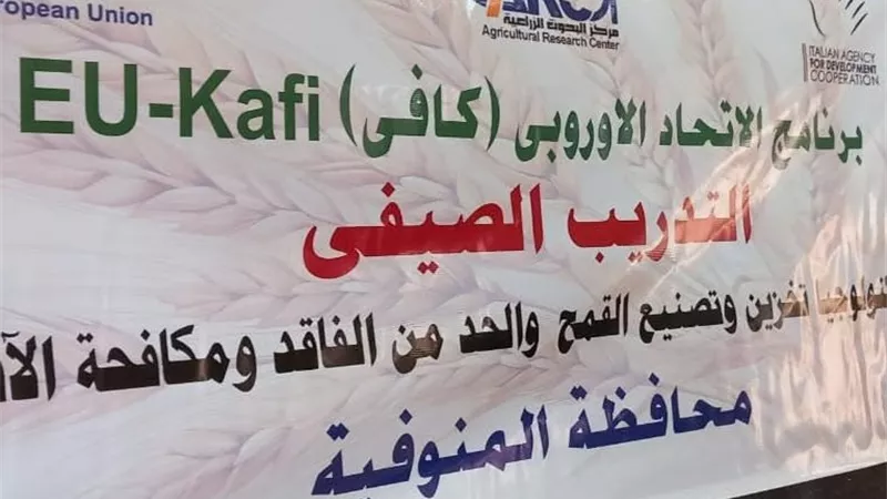 منوف تنظم يومًا تدريبيًا لمزارعيها.. تكنولوجيا تخزين وتصنيع القمح وطرق الحد من الفاقد