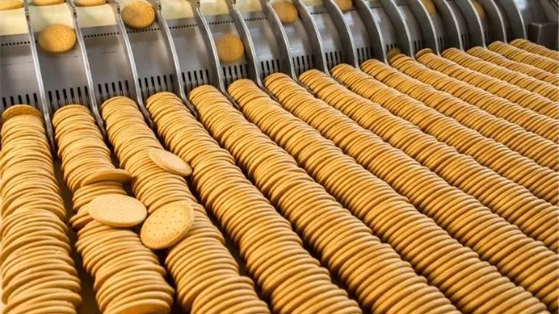 5 محاور جديدة لدعم صادرات الصناعات الغذائية.. تعرف على نسب المساندة وقواعد المعارض