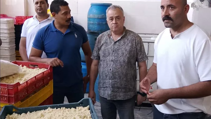 ضبط مصنع موتزاريلا يديره مخالفون داخل حظيرة مواشٍ بالفيوم باستخدام الصودا الكاوية