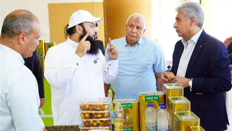 من المزرعة إلى السوق.. مطروح تستهدف رفع جودة زيت الزيتون وزيادة القيمة المضافة