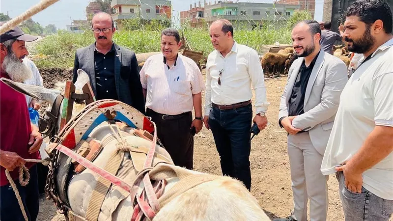 الخدمات البيطرية بالدقهلية تنفذ قافلة علاجية مجانية بقرية المنيل في طلخا