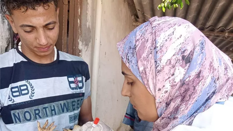بيطري القليوبية يكثف إجراءات الترصد الوقائي لإنفلونزا الطيور قبل طرح الدواجن بالأسواق