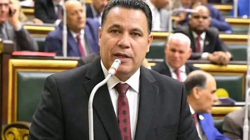 الغنيمي: التوسع في المنافذ الحكومية يضمن استقرار الأسواق وحماية المستهلك