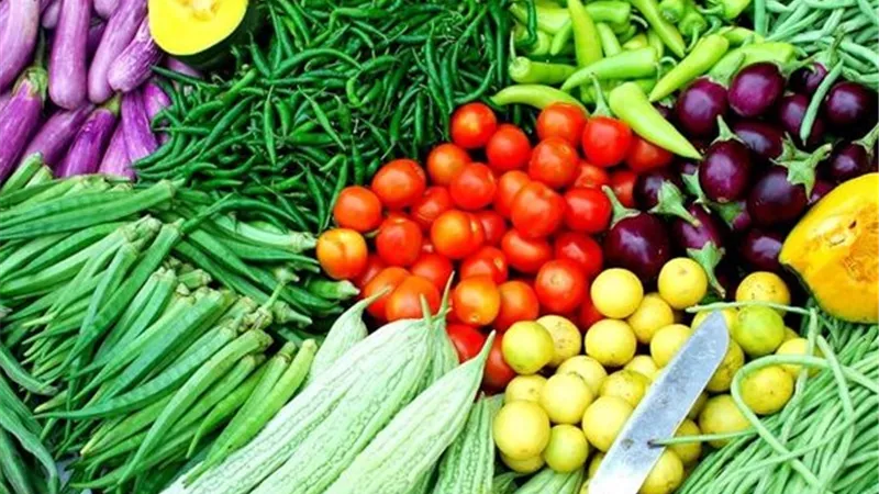 البحوث الزراعية تسجل 5 أصناف وهجن جديدة للحبوب والخضر لتقليل فاتورة الاستيراد