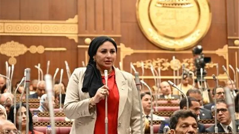 برلمانية: كلمة الرئيس بالمولد النبوي تؤكد أولوية المواطن ومواصلة مسار الإصلاح والتنمية