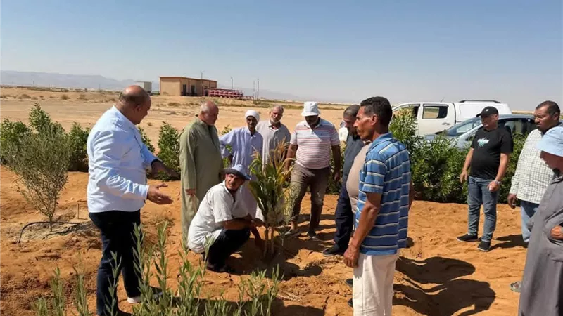 من تجمع النوافعة بسيناء.. انطلاق العام الرابع لمبادرة «اسأل واستشير قبل ما تدفع كتير»