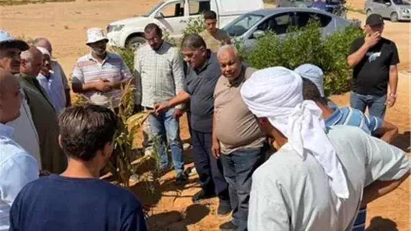 «اسأل واستشير قبل ما تدفع كتير» تبدأ عامها الرابع من سيناء لدعم المزارعين وخفض تكاليف الإنتاج