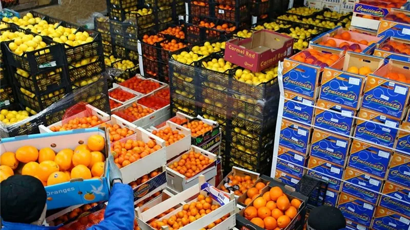 صادرات مصر الزراعية تحصد الصدارة عالميًا.. 7 ملايين طن حاليًا ومستهدف 9.5 مليون بنهاية العام