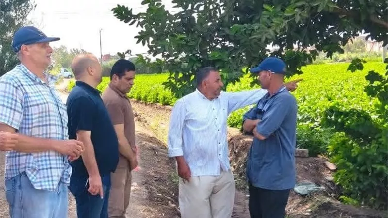ضربات رقابية بالدقهلية.. كشف تلاعب في حصر مخالفات الأرز وإجراءات قانونية ضد المتورطين