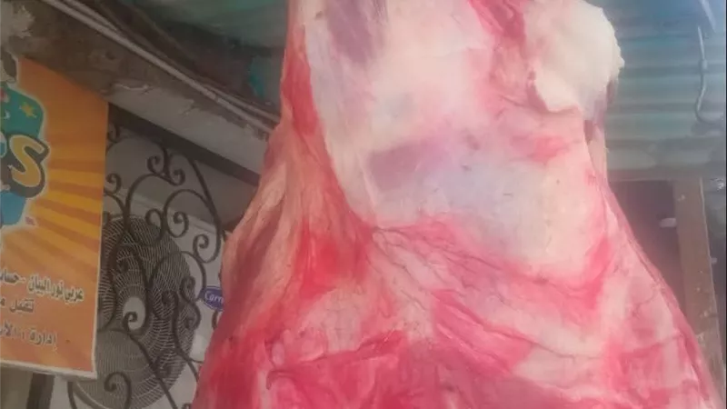 الخدمات البيطرية بالقاهرة تضبط 10 أطنان من الأغذية غير الصالحة للاستهلاك الآدمي